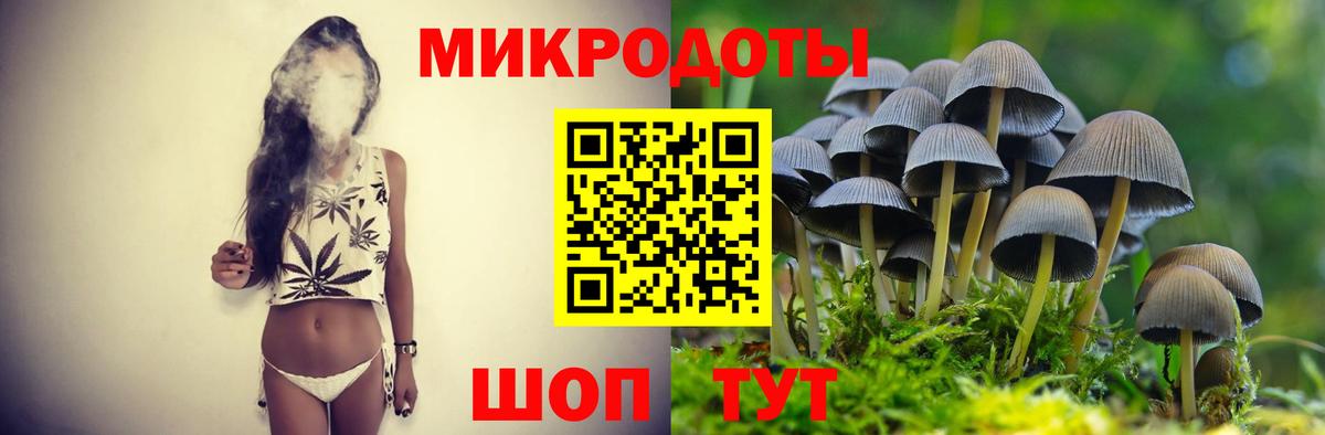 Галлюциногенные грибы Cubensis  Прохладный  Галлюциногенные грибы Cubensis 