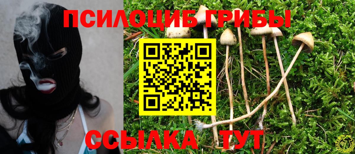 Галлюциногенные грибы GOLDEN TEACHER Прохладный